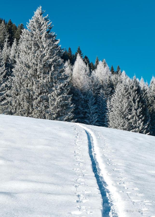 Haus Lorea Ehrwald Zewnętrze zdjęcie